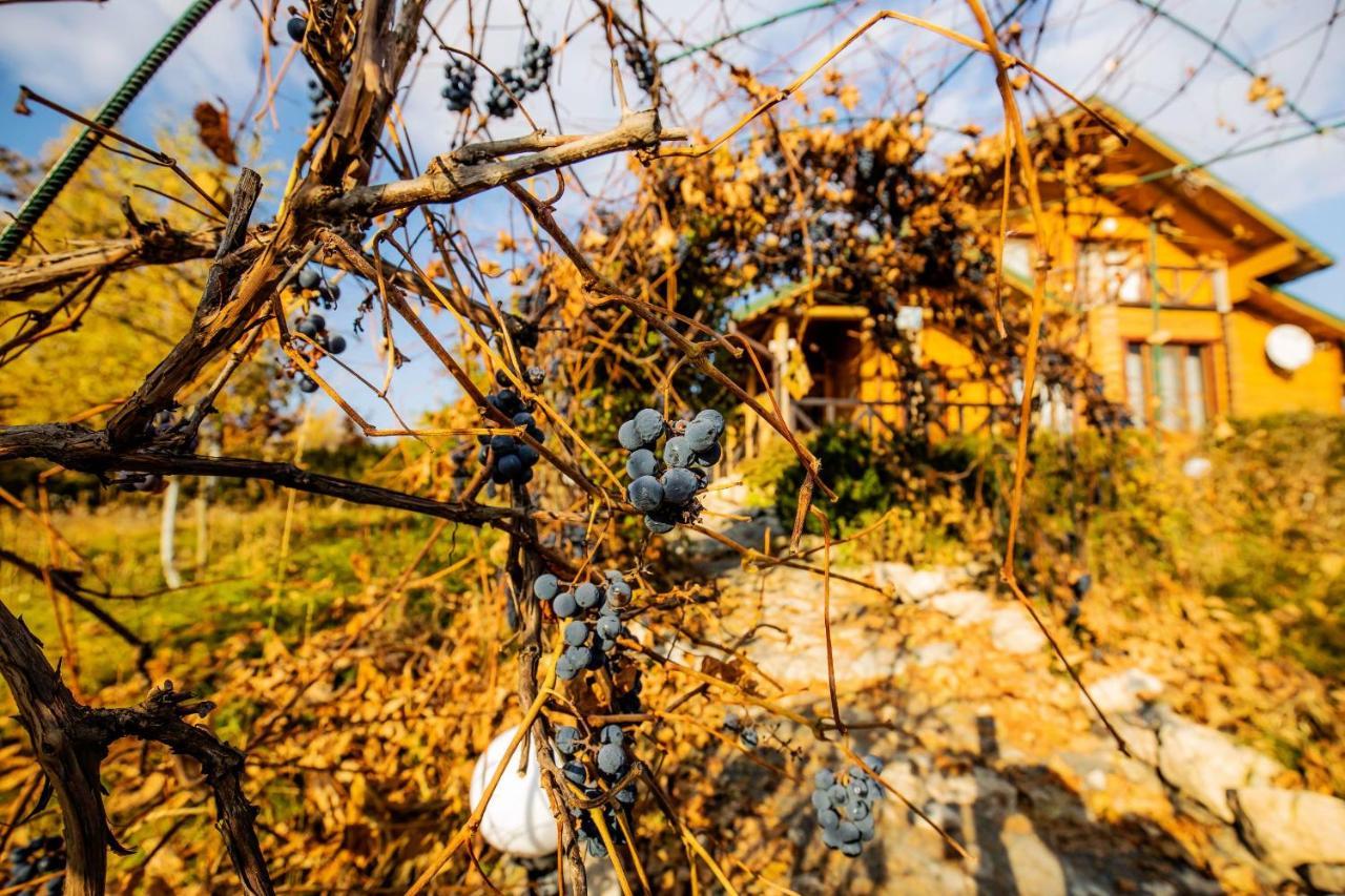 Country House Domik V Derevne Markovtsy  Dış mekan fotoğraf