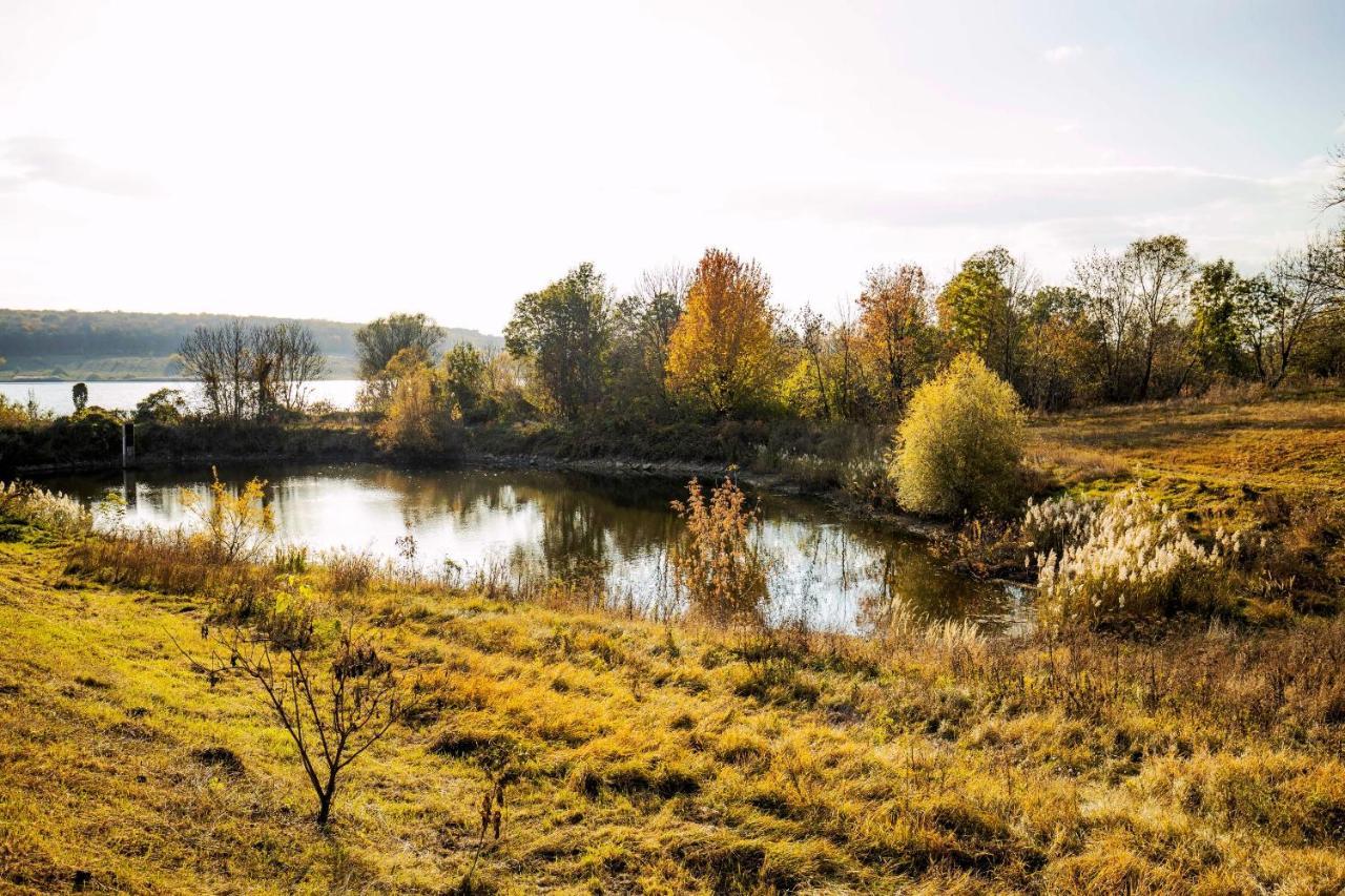 Country House Domik V Derevne Markovtsy  Dış mekan fotoğraf