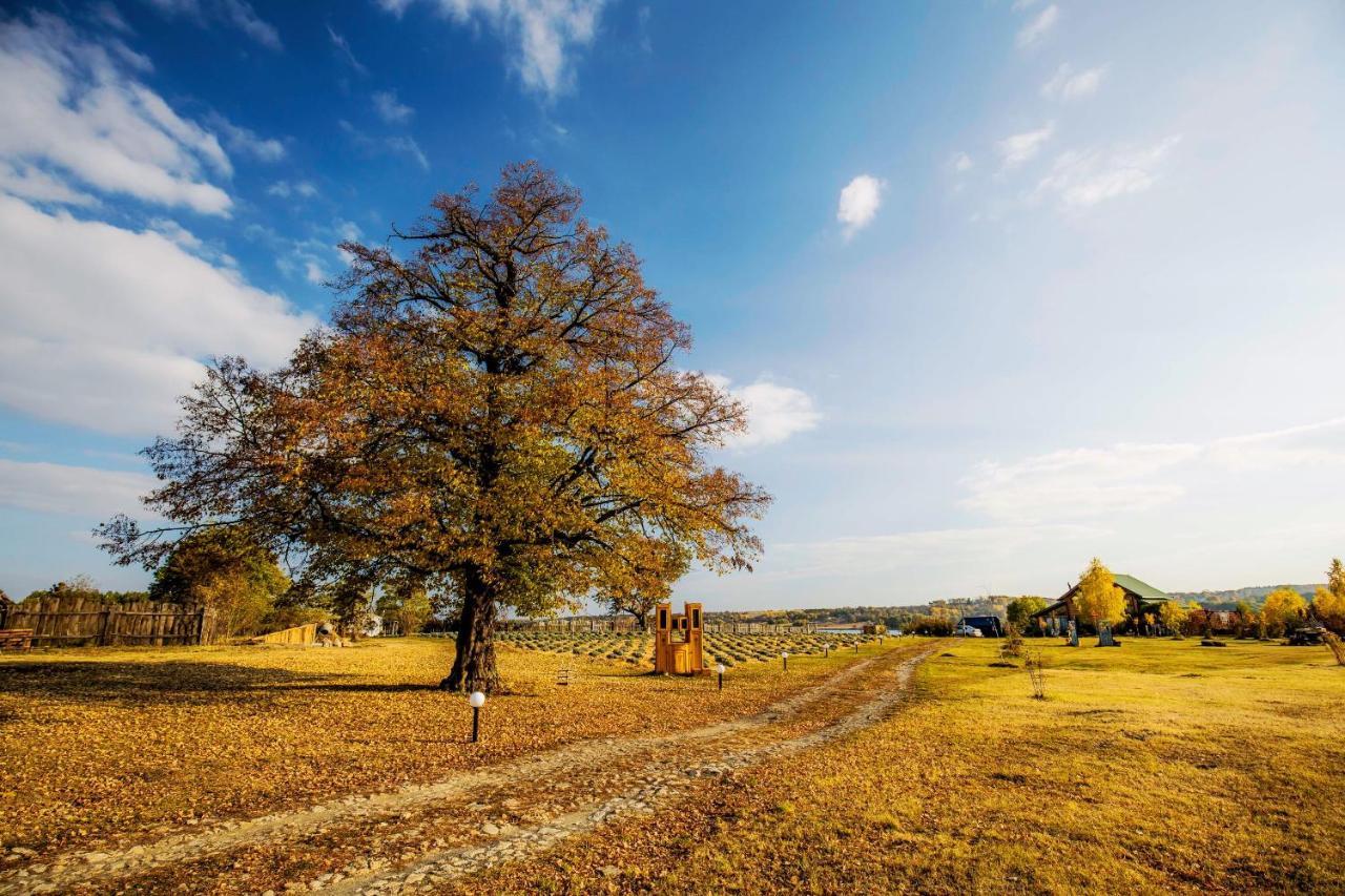 Country House Domik V Derevne Markovtsy  Dış mekan fotoğraf