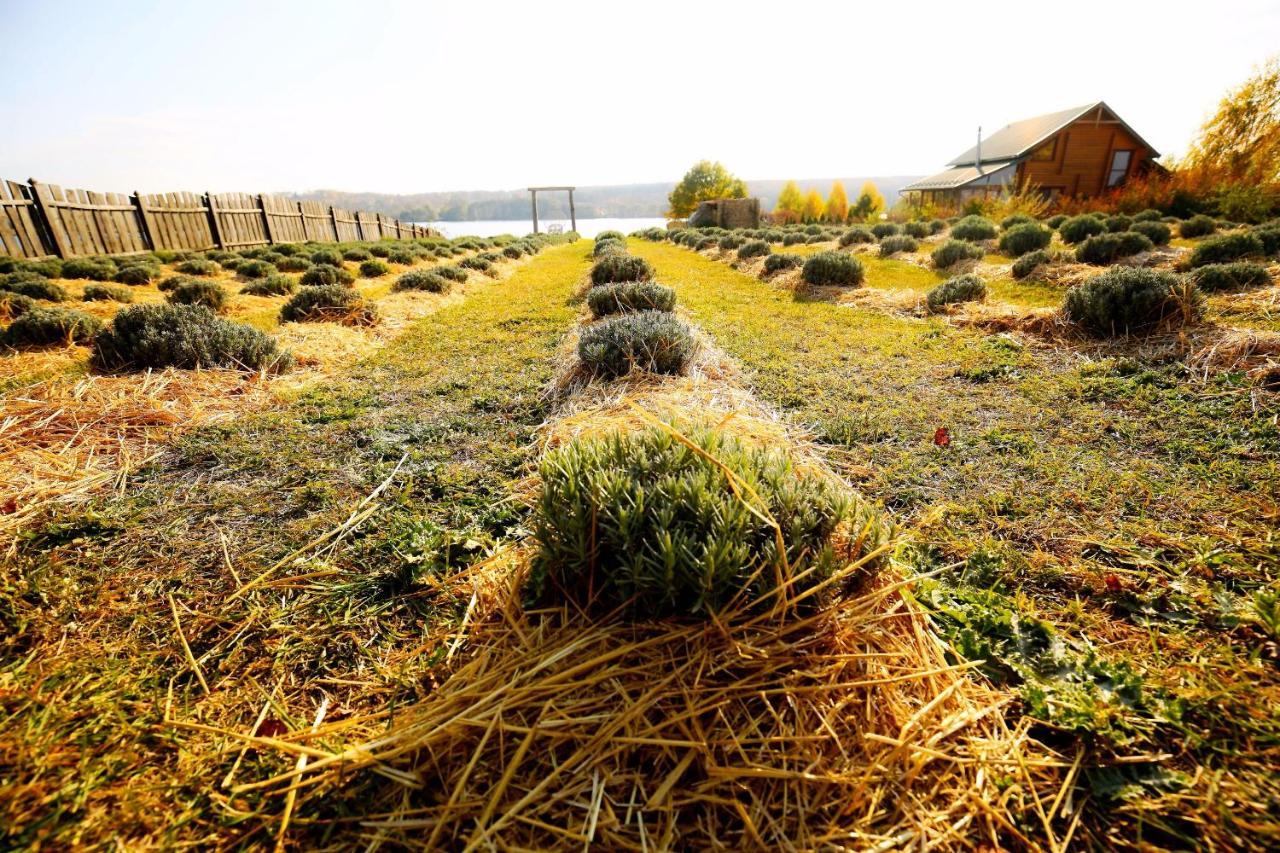 Country House Domik V Derevne Markovtsy  Dış mekan fotoğraf